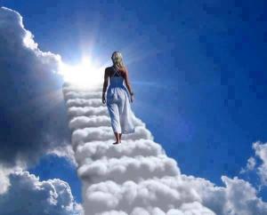 21730_488423244551510_309280366_n